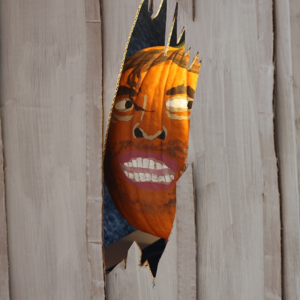 rosshalloween2024 (66).jpg crop