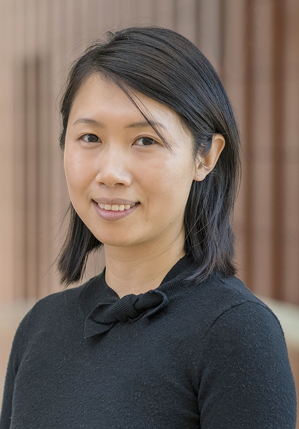 Professor Jun Li