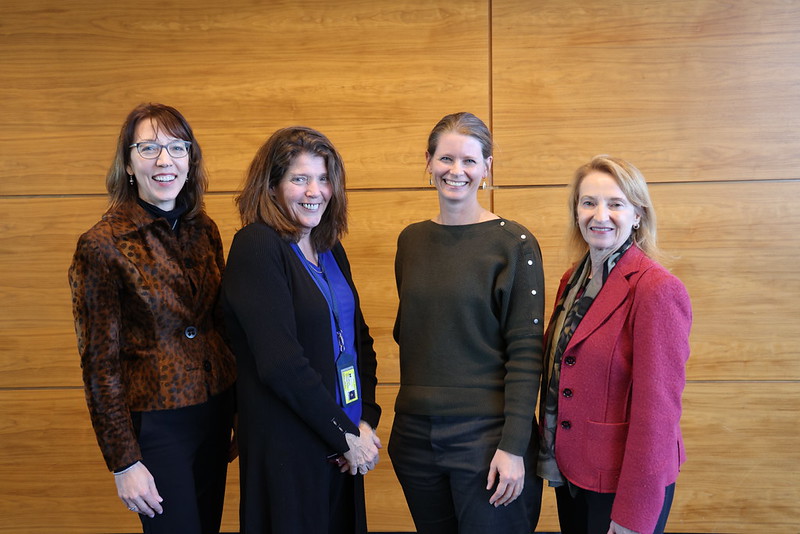 54915778023 a7a97d17a3 c