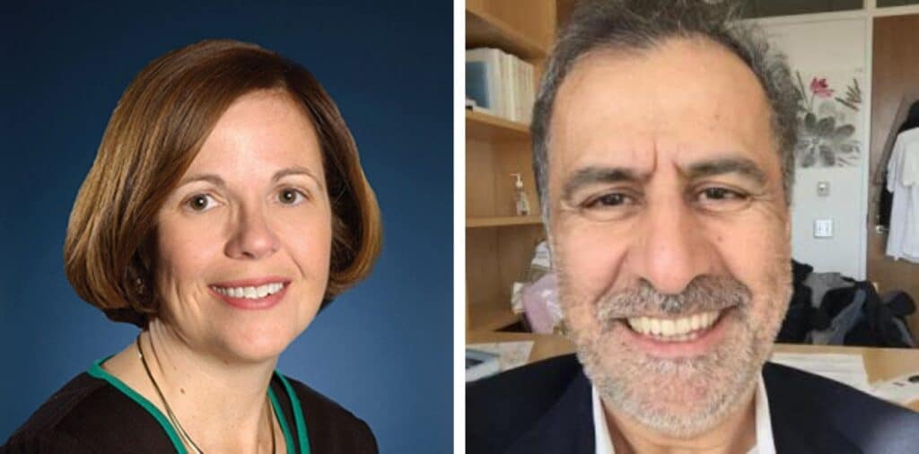 Cindy Schipani and Nejat Seyhun