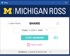 The persistent Ditto screen that displays while sharing.