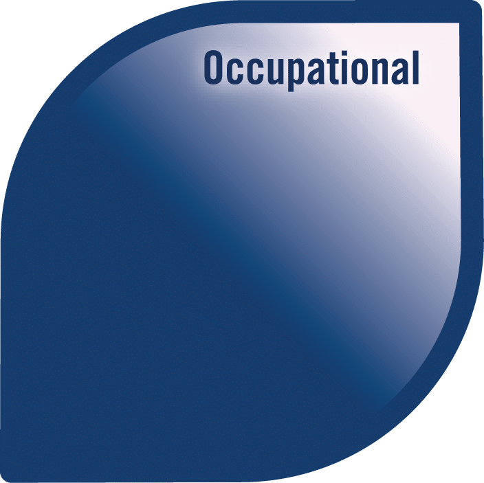 slmkg wellbeing petal occupational label